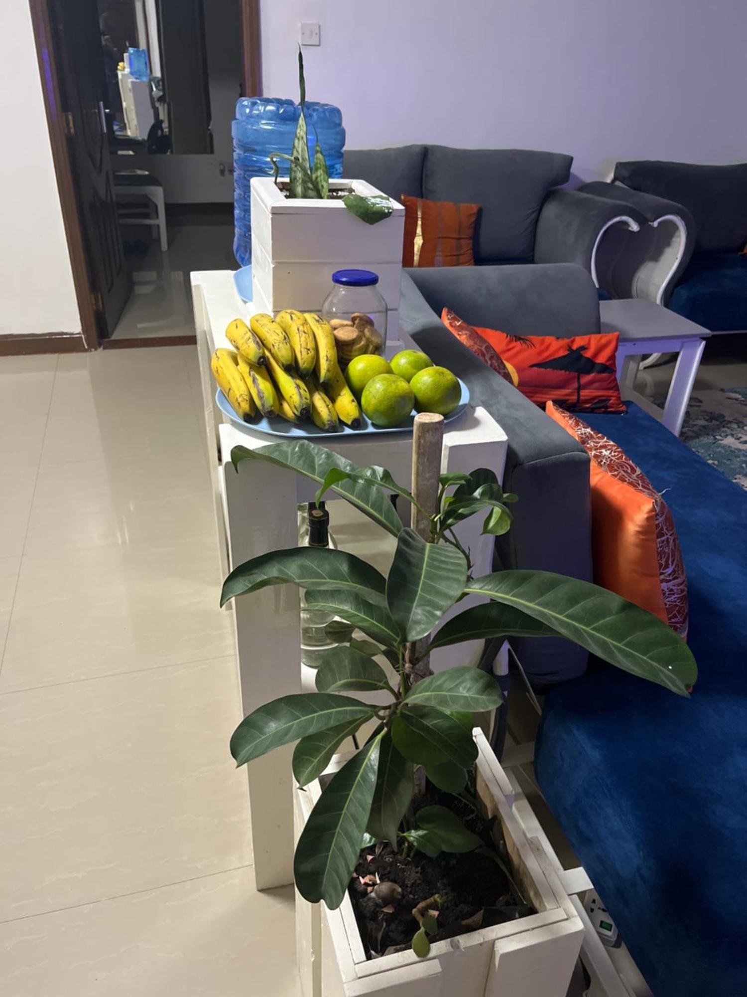 The Coffee Residences- 3 Bedroom Apartments-4Km To Jkia, 7Km To Cbd Nairobi Esterno foto